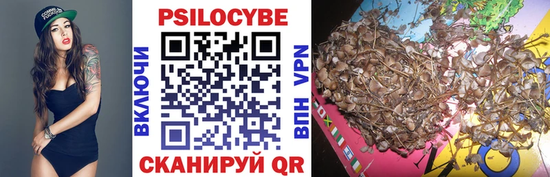 Псилоцибиновые грибы GOLDEN TEACHER  Лесной 