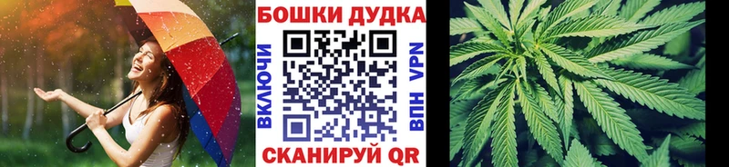 Шишки марихуана AK-47  как найти наркотики  Лесной 